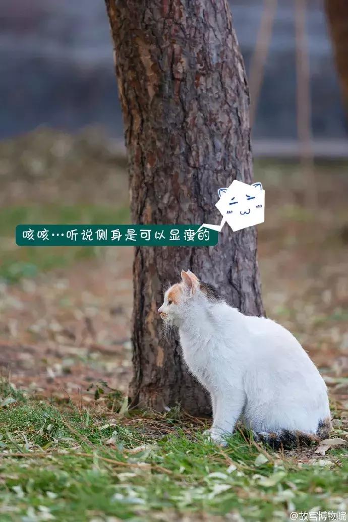 鏁呭18鍙尗,鏁呭鍚哥尗181鍙尗