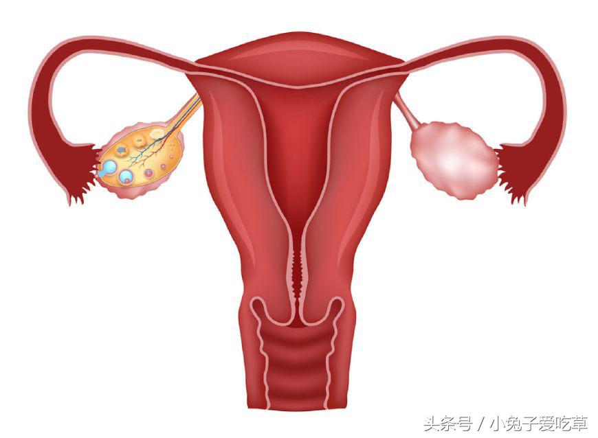 产后第6周产妇需要注意哪些事项,产妇一周后检查什么项目