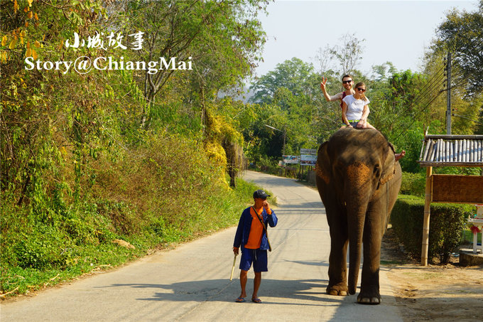 为了忘却的记忆笔记,为了忘却的记忆2013