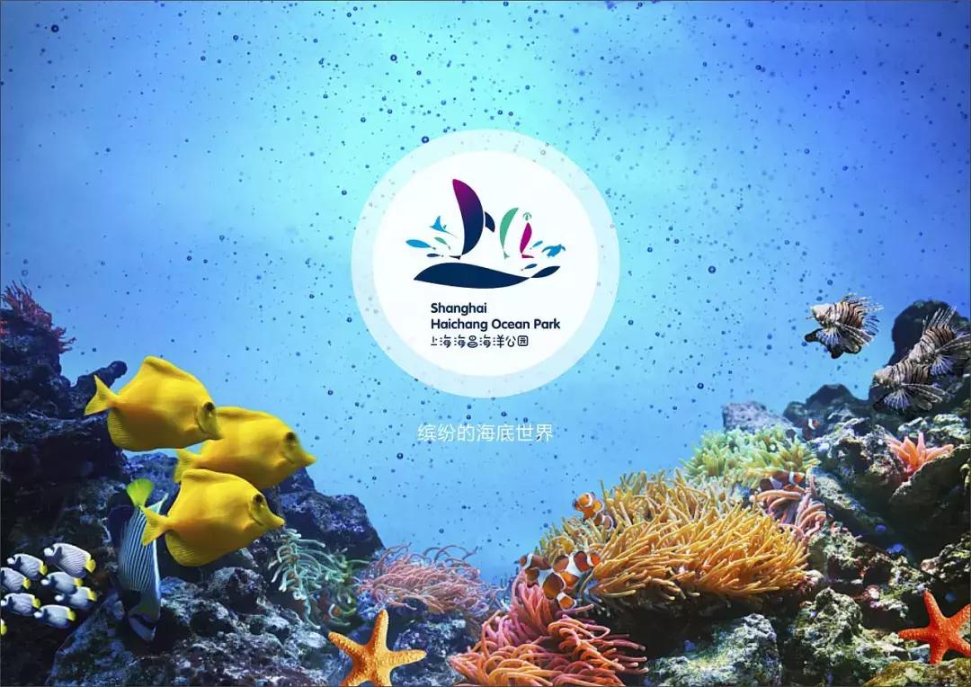 魔都又添打卡新圣地,魔都新地标