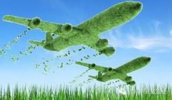 农业创业成功或失败的经验总结,传统农业创业模式有哪些