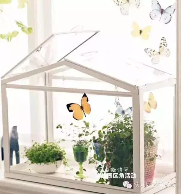 幼儿园春天植物角摆台,幼儿园植物角创意布置图片大全集