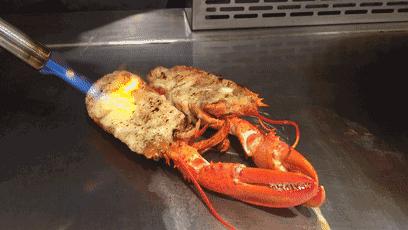 天津高档海鲜自助波龙帝王蟹,海鲜自助天津帝王蟹