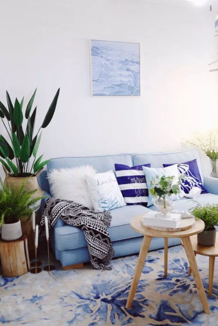 Mu指南|7种家居风格与完美植物搭配