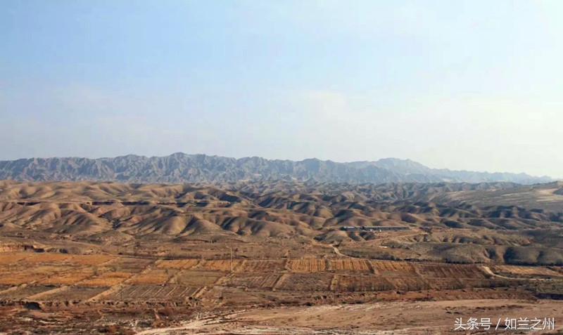 蓬灰是用什么草烧成的,记忆中的灰白