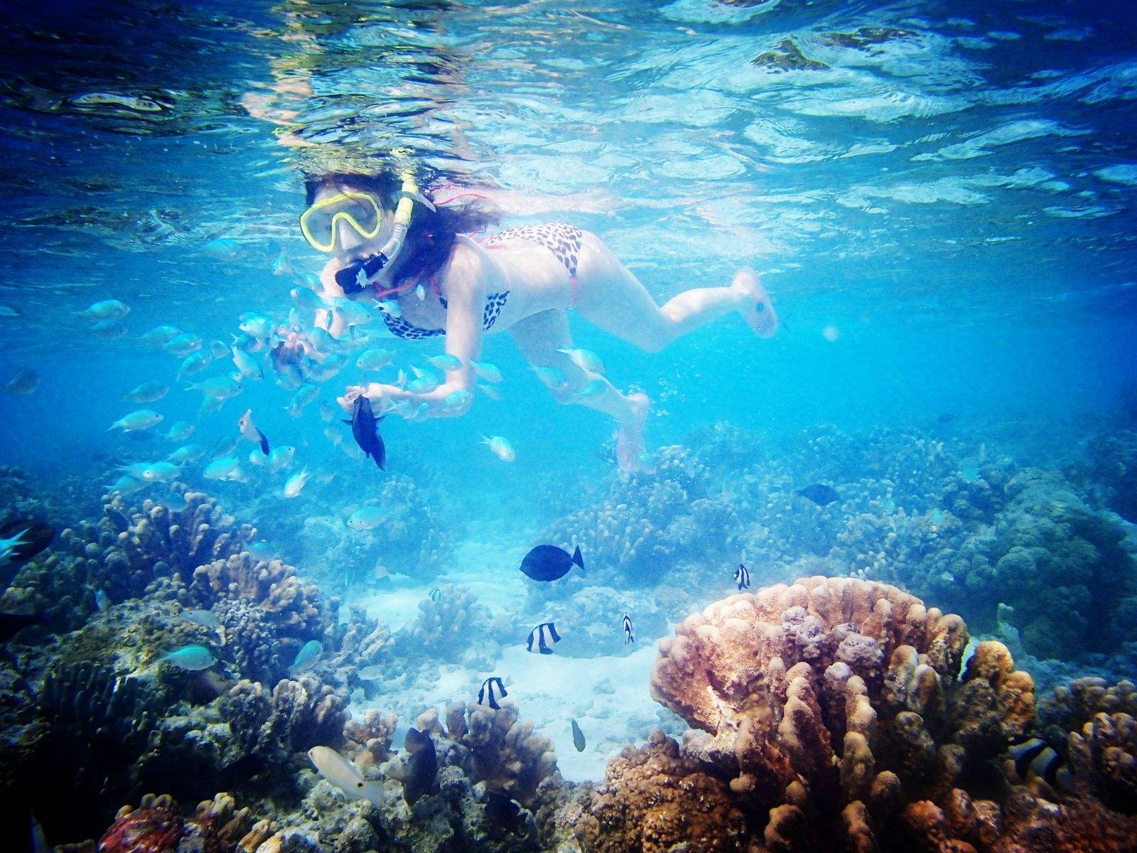 潜水小白攻略,浮潜新手