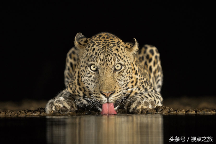 世界20幅人像摄影,52张世界顶级摄影