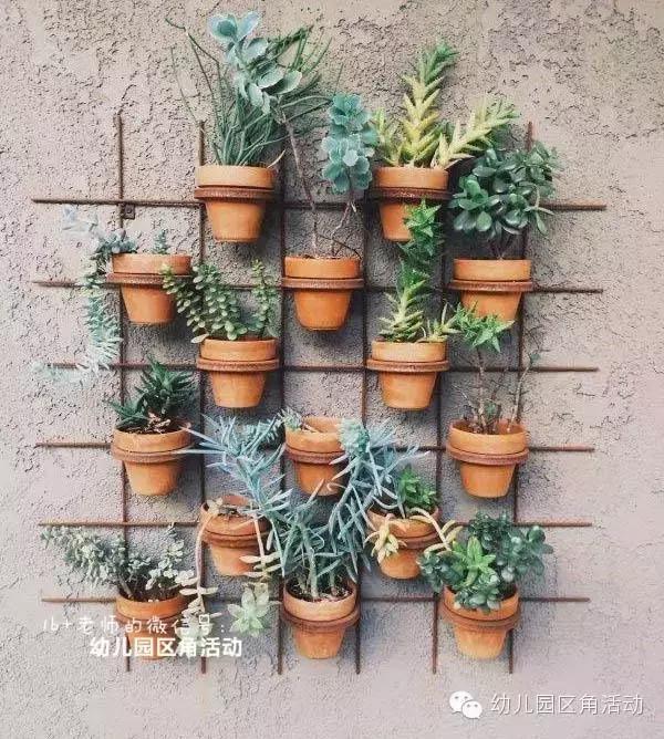 幼儿园春天植物角摆台,幼儿园植物角创意布置图片大全集