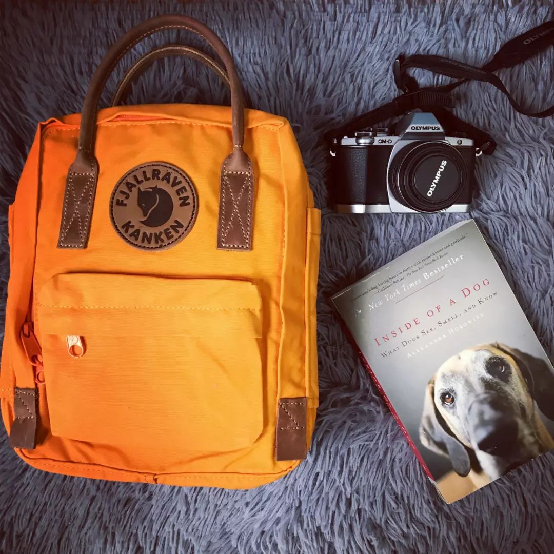 开学季|这个学期kanken“包”了