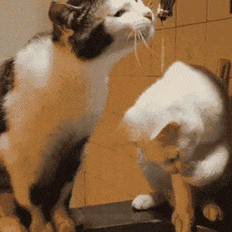 鎯婅洶灏忓悐姊ㄦ堡鐨勫姛鏁堜笌浣滅敤,鎯婅洶涔嬪悗鍠濇ⅷ姹ら檲鐨按