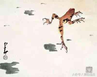 赵少昂岭南画派国画花鸟,岭南画派十大名家名单赵少昂