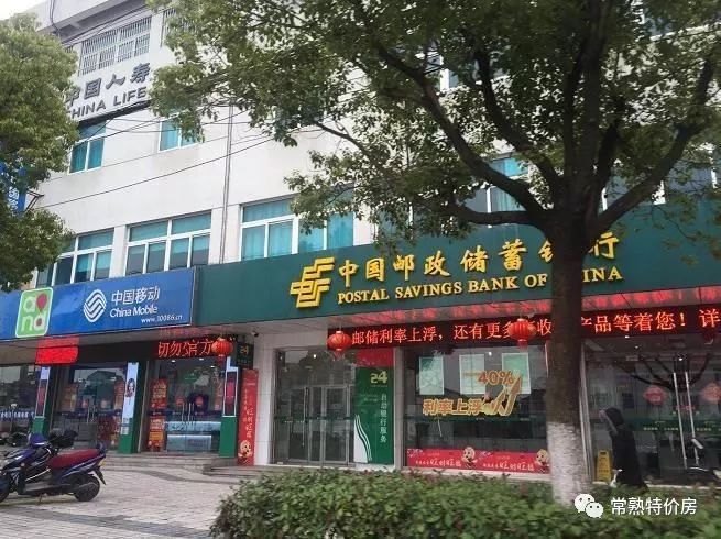 深度好文全文阅读,深度好文最新