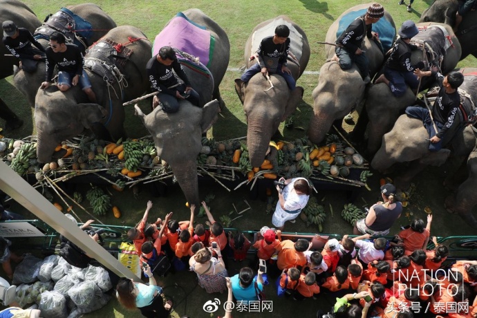 第4届泰国足球公开赛,泰国国王杯佛牌比赛