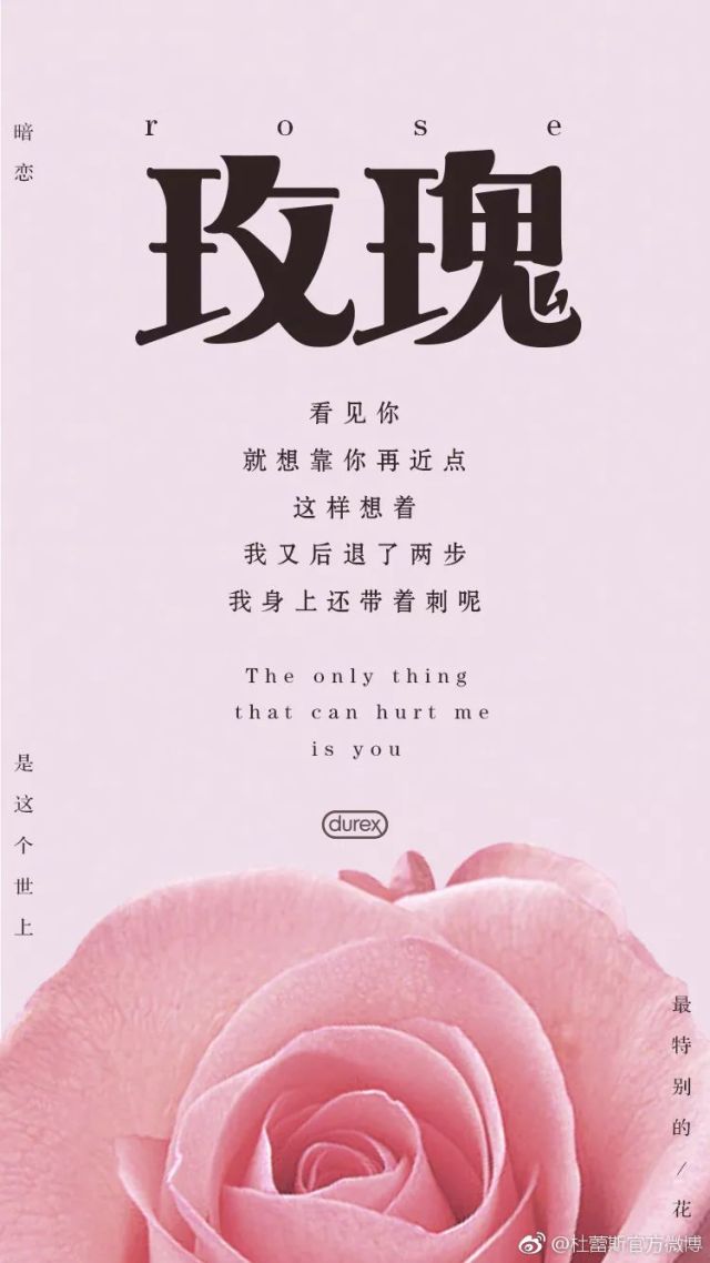 鏉滆暰鏂コ绁炶妭瑙嗛,涓冨鎯呬汉鑺傛潨钑炬柉