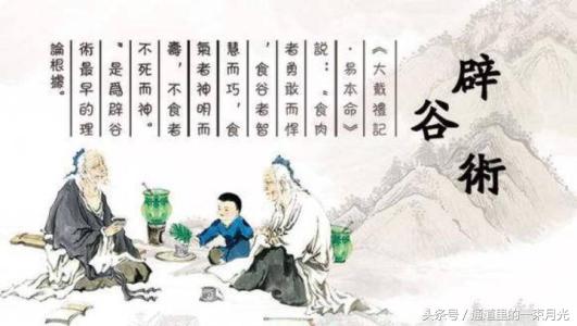 道家龟息功演练视频,道家龟息功法