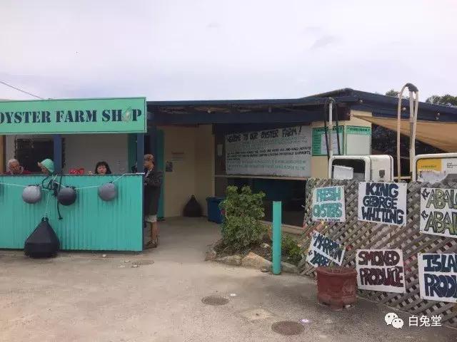 「白兔堂」可能只有不到10%的游客在澳洲玩到了这些！你玩对了吗？