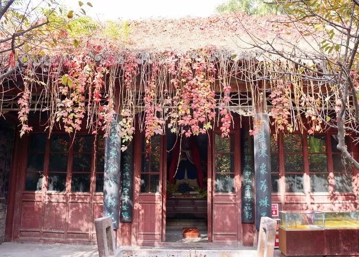 李清照凄凄惨惨戚戚粤语,凄凄惨惨戚戚李清照原文