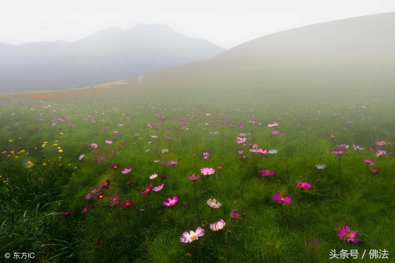 无神论的佛教是真的吗,佛教无神论什么意思