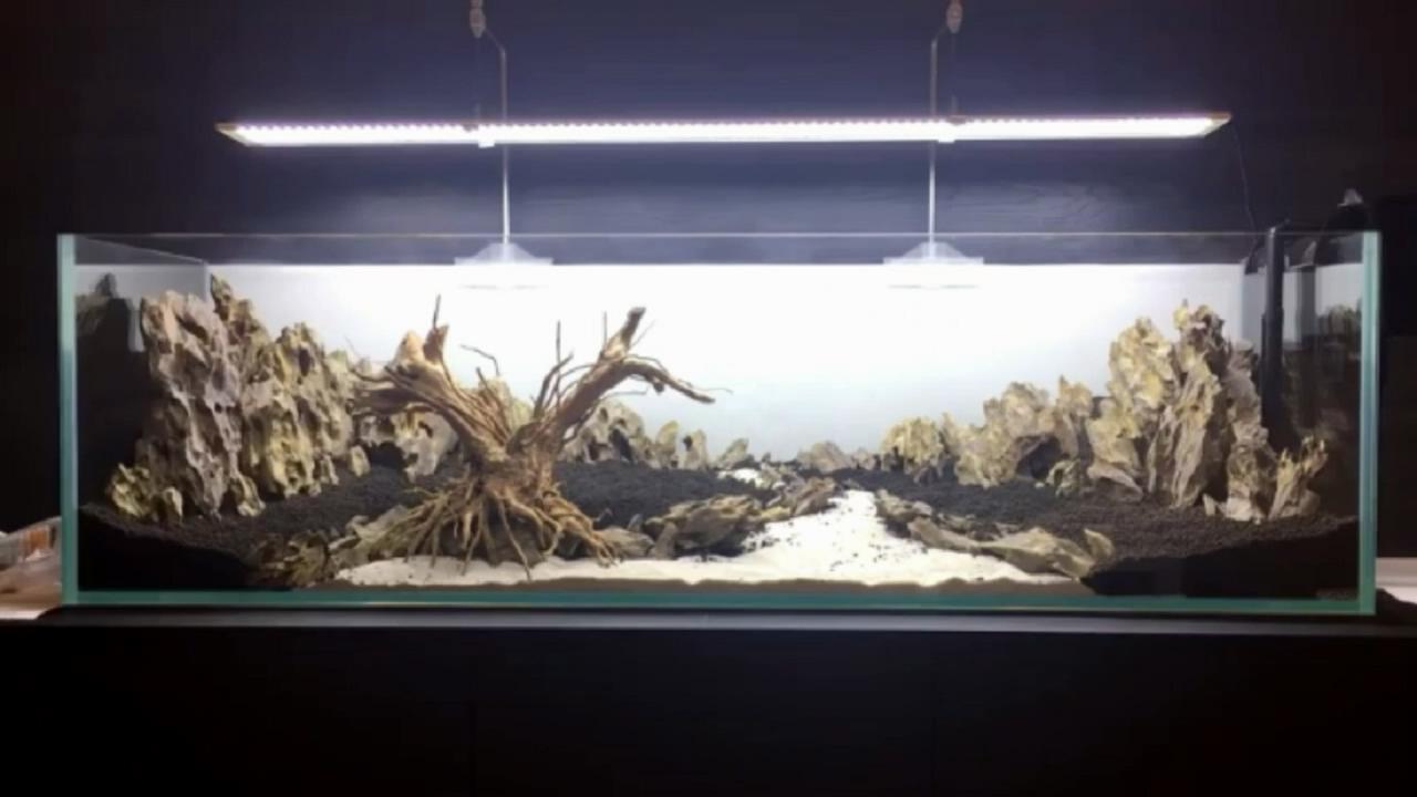 鱼缸微景观的方法和技巧,桌面鱼缸造景新手教程