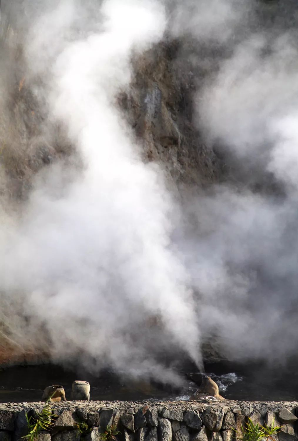 如何在腾冲去各个景点,到了云南腾冲有什么好玩儿的