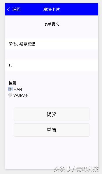 微信小程序表单提交,微信小程序数据请求
