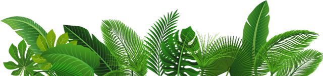 她11岁登上杂志封面，12岁拍摄色情电影，却跟母亲打了20年官司