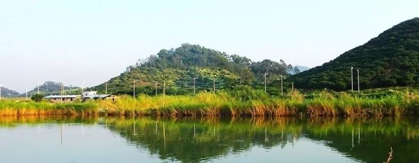 最新东莞好玩的地方,看一下东莞最好玩的地方