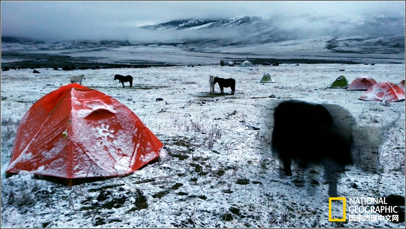 格聂转山攻略详解,四川格聂转山最新攻略