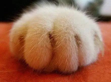 走到流浪的尽头,落入你的温暖怀抱