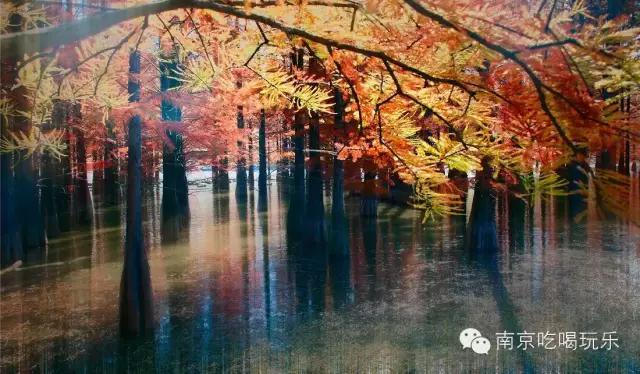 南京小区房价最新排名,南京各小区房价一览表