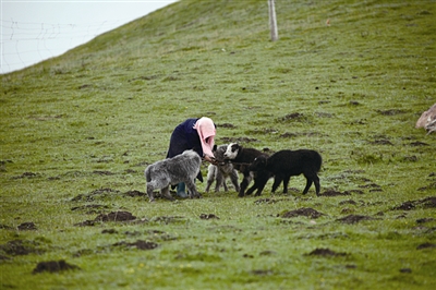 央视采访青海省湟川,记者带你了解丹江水
