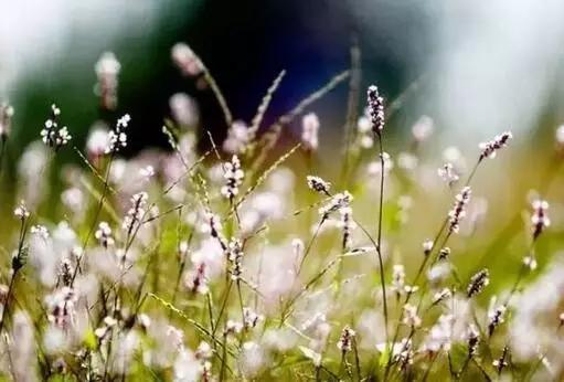 武汉旅游攻略最佳线路推荐一下,武汉沿地铁线有哪些好玩的地方