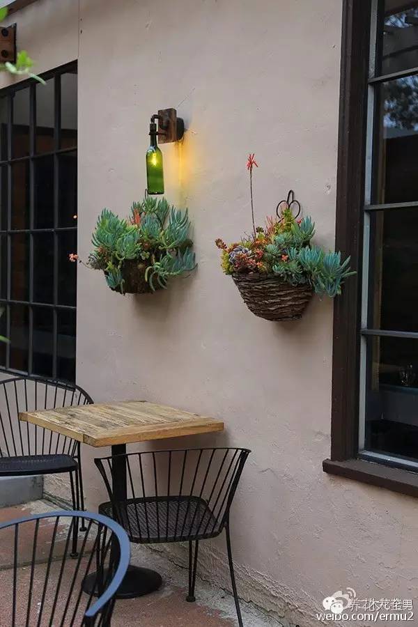 必看|台湾是中国的,多肉是世界的!