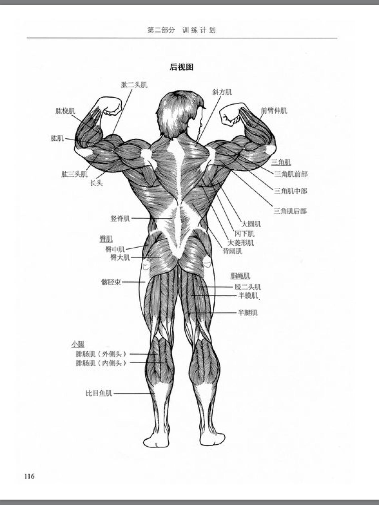 新手健身必须要知道的几件事,新手健身记住下面六条知识