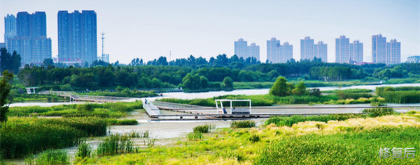 城市双修的缺点,什么是城市双修