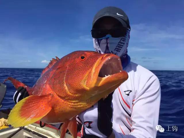 在荒蛮的世界尽头追猎“怪物”