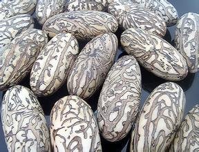 怎么用电动打磨机打磨千眼菩提,千眼菩提哪里有打磨的