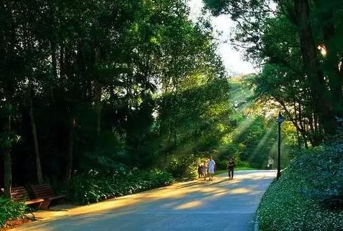 绿道可以走电动自行车吗,绿色公共自行车怎么租