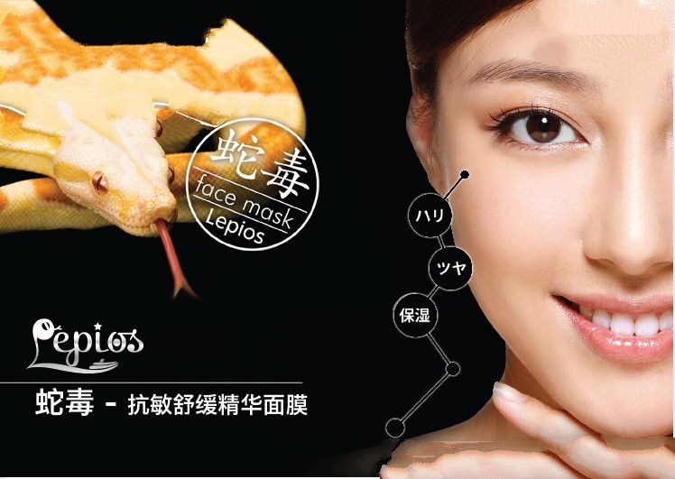 盲目养狗,盲目养宠物