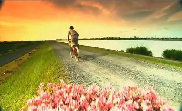 视觉盛宴体验爱丽丝梦游仙境,爱丽丝梦游仙境一个美丽的画面