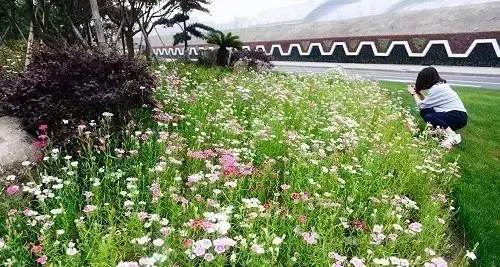 杭州玩一天怎样安排行程,在杭州玩两天攻略怎么做