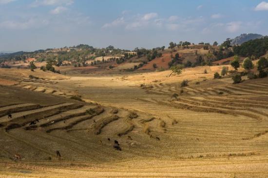 行摄缅甸之风情时光,缅甸之旅缅甸日记