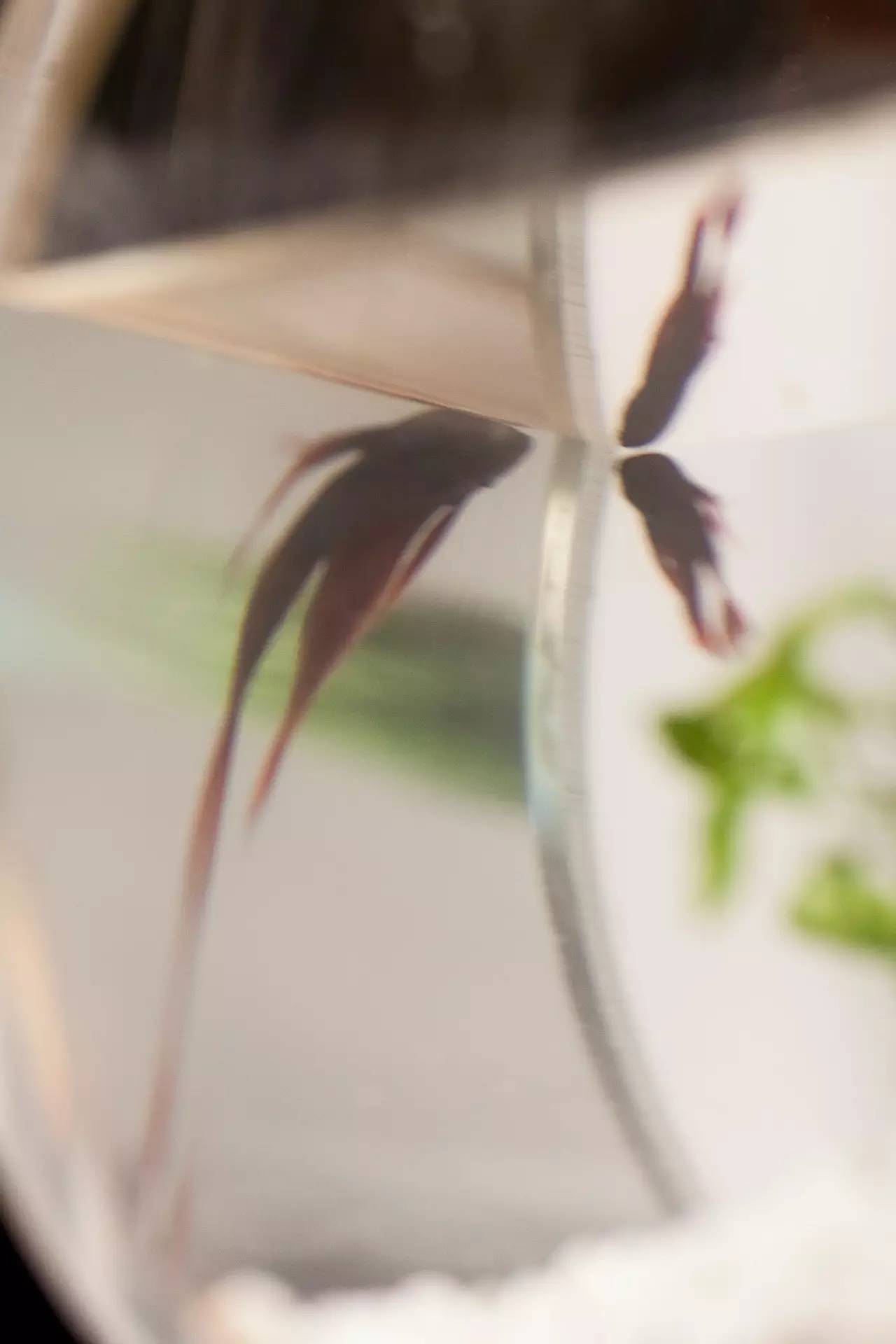 小时候看起来很乖长大后很壮,小时候看得很幼稚长大后才明白