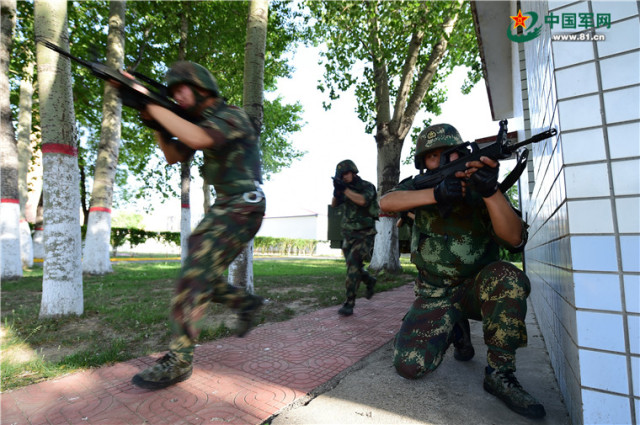 他们为啥追着太阳跑？只因阳光的“脚步”太匆匆