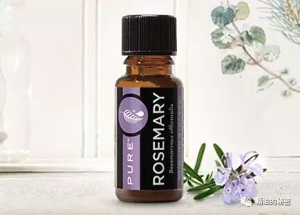 美乐家生姜精油的功效与作用,美乐家精油大全