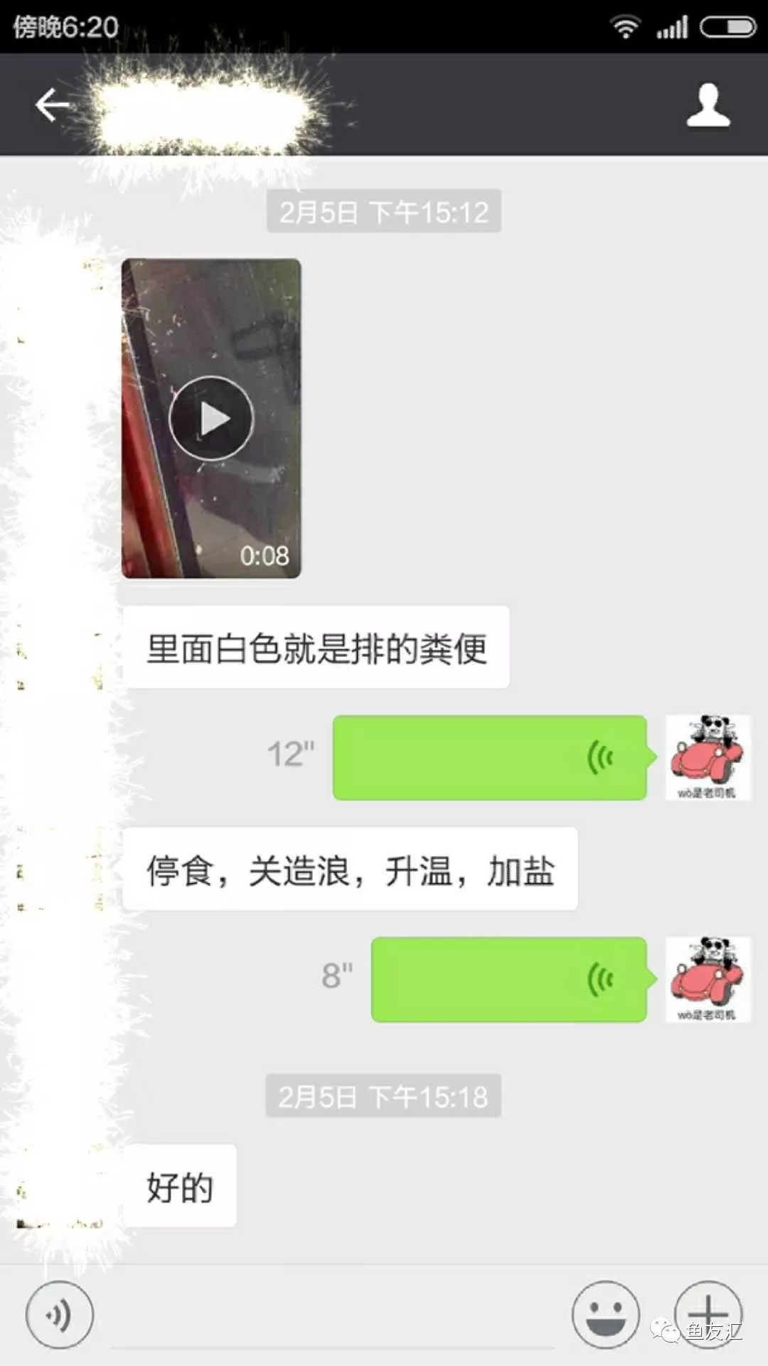 龙鱼为啥是身体弯曲死,龙鱼身体弯曲呈s型怎么回事