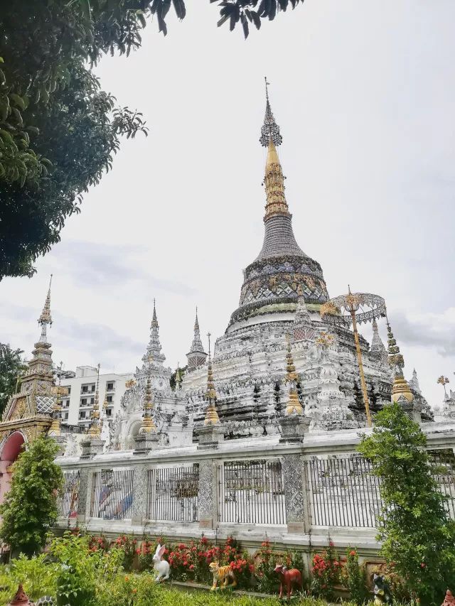 君行体验官专栏丨他在佛之国度，邂逅了一场浪漫