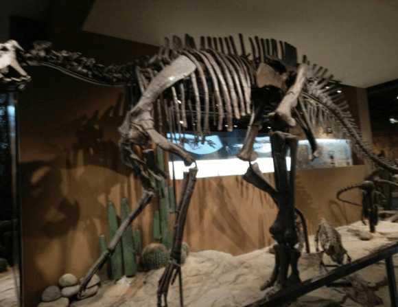 大连海边风光,想体验不一样的日出吗