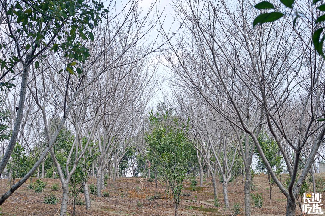 湖南信息学院为什么不出名,湖南信息学院水平怎么样