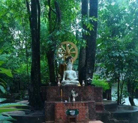 君行体验官专栏丨他在佛之国度，邂逅了一场浪漫